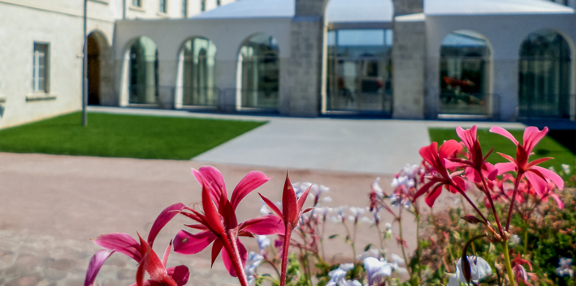 14817019164 908444b032 o auteur william chevillon resultat