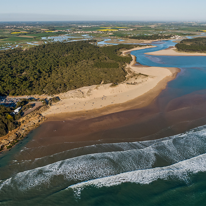 adobestock 156364416 resultat xyz