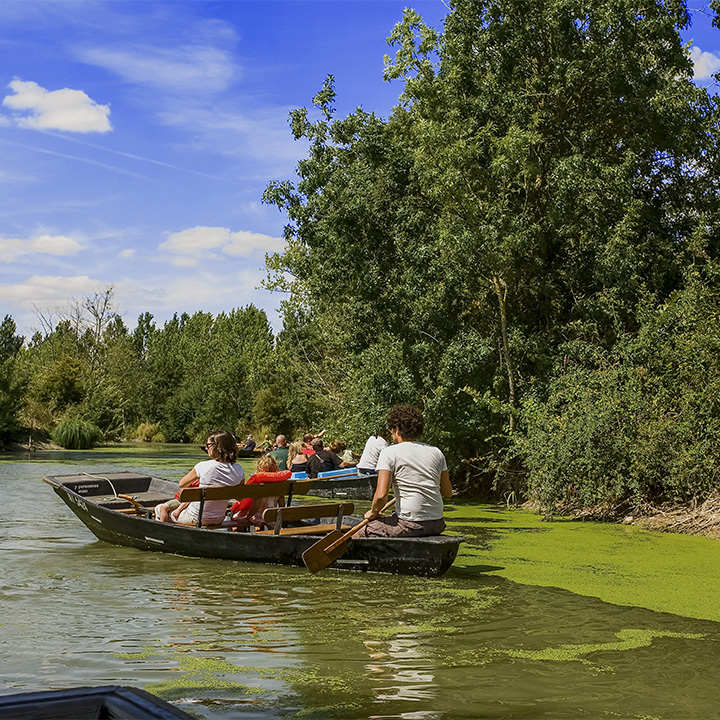 adobestock 25657944 resultat