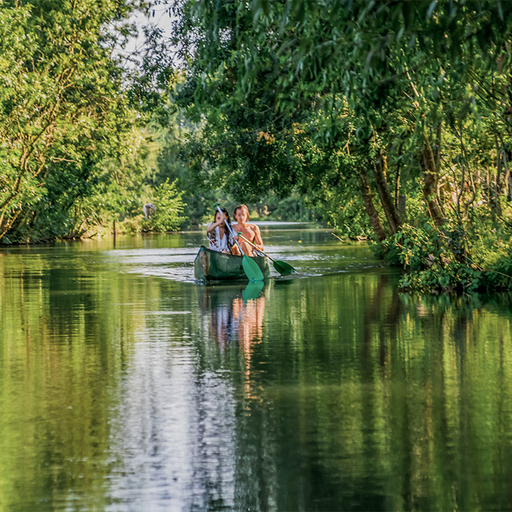 adobestock 275753279 resultat