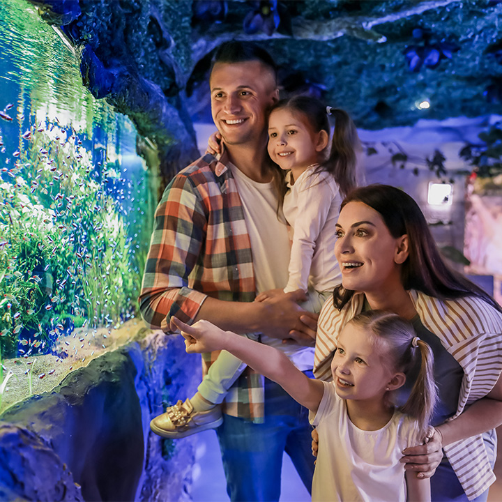 adobestock 435446157 resultat