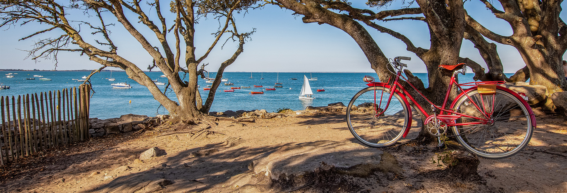 adobestock 551118360 resultat 2 banner