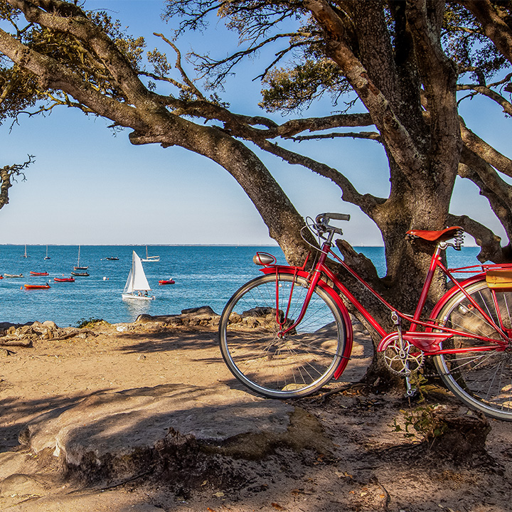 adobestock 551118360 resultat 2 erverf