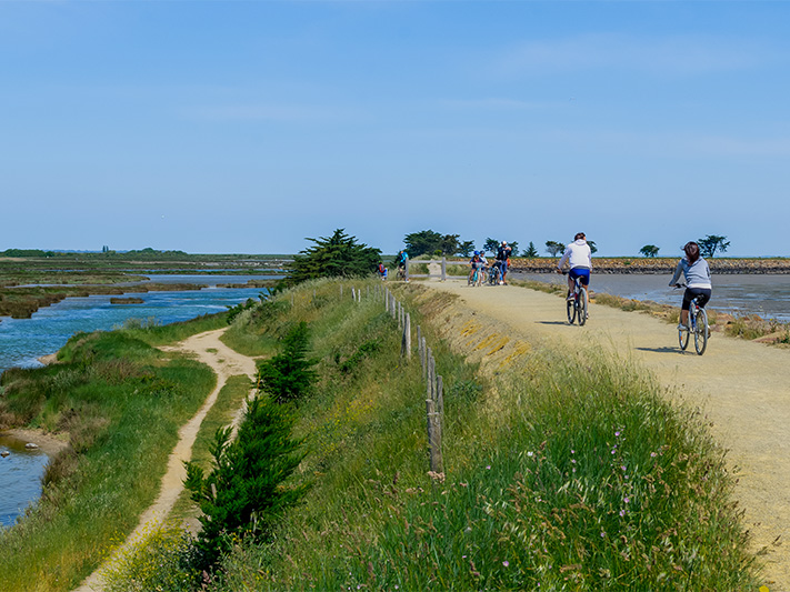 adobestock 606481017 resultat 2