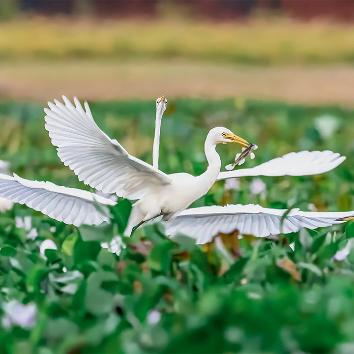 design sans titre (1)uyjyrhtdgr resultat