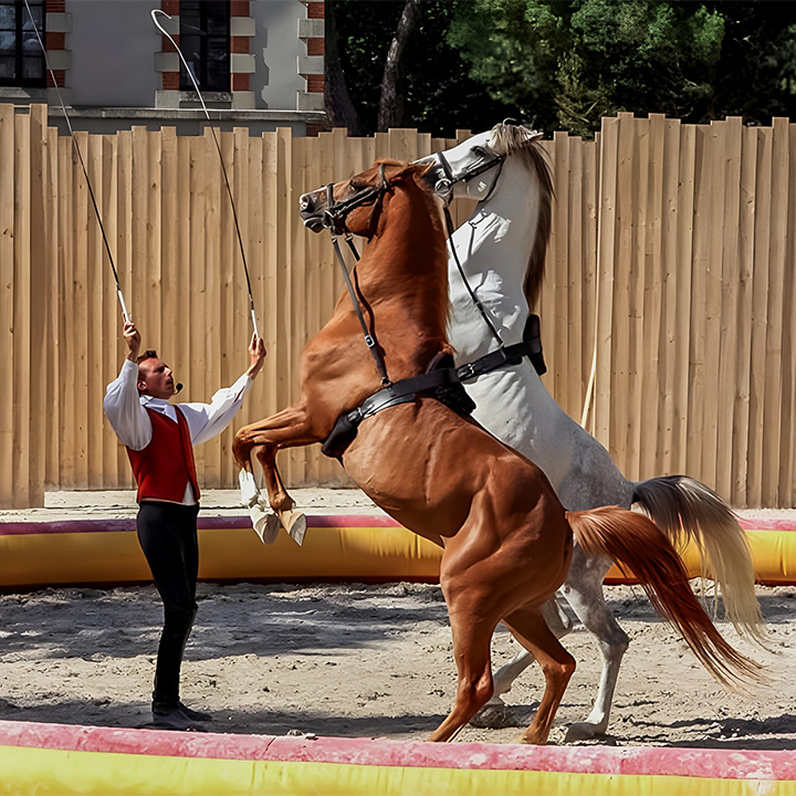 haras vendee balade en vendee campilo upscayl 2x upscayl standard 4x resultat